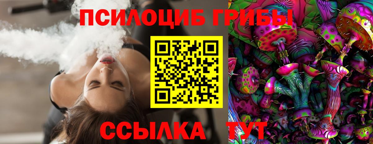 Ртищево  Галлюциногенные грибы Psilocybe  Вход с VPN 