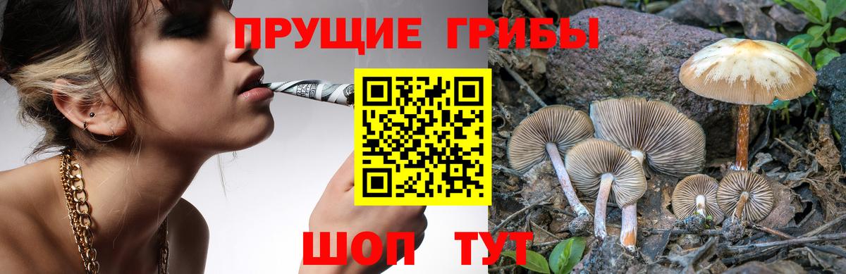 Псилоцибиновые грибы MAGIC MUSHROOMS Ртищево