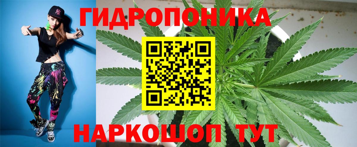 Ртищево  Шишки марихуана план  Каннабис SATIVA & INDICA  Вход с VPN 